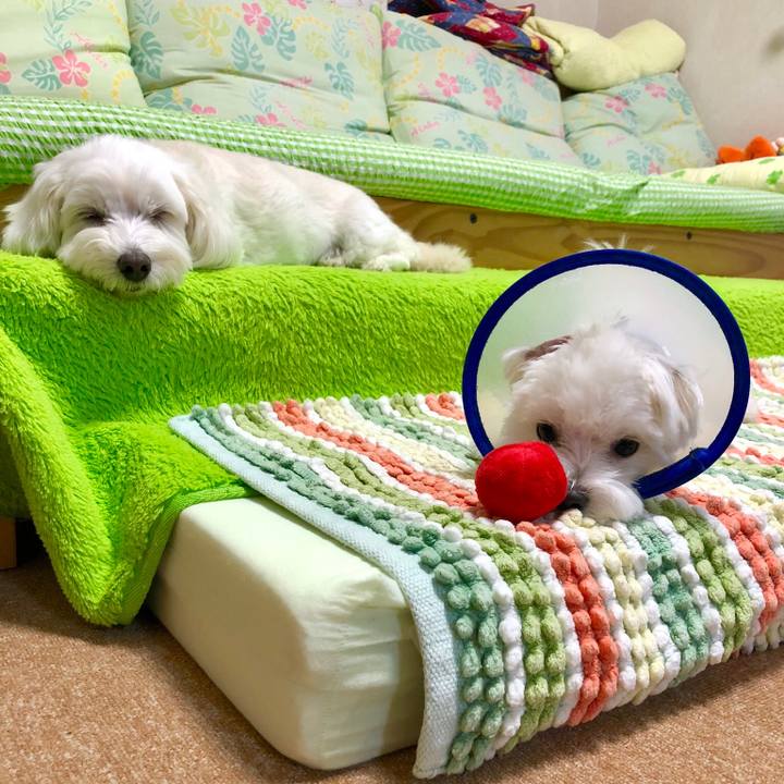 1b4fe03a e17b 4426 b907 5bbfbd3e5514 1528631562710