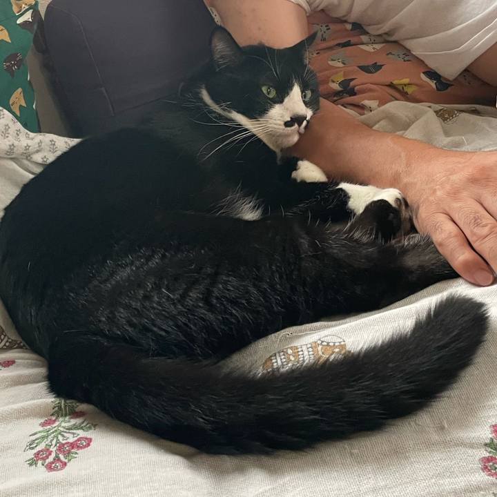 1b4fe18e aa38 4e3d b9db dbb6c209d92b 1726269675285