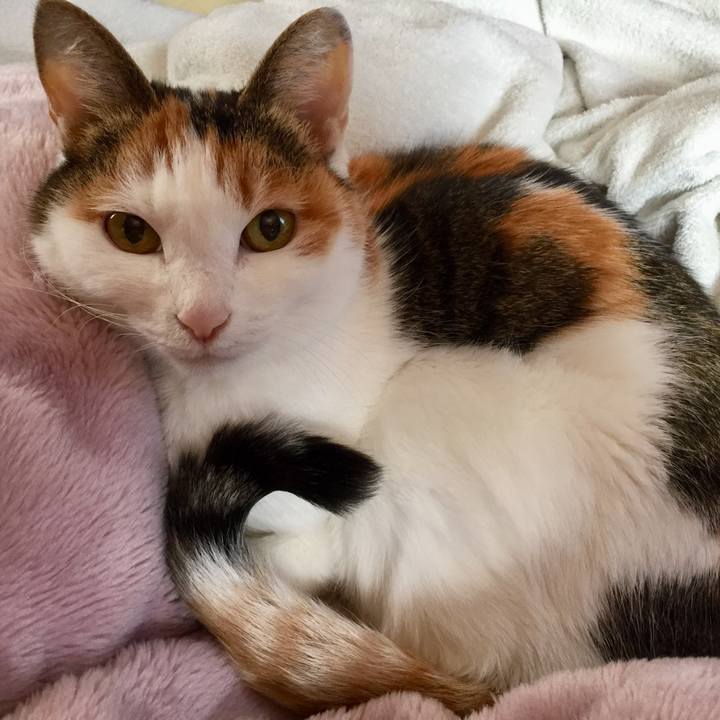 1b50104c e317 43fb bcfd 9fa5f5d13946 1552875780844