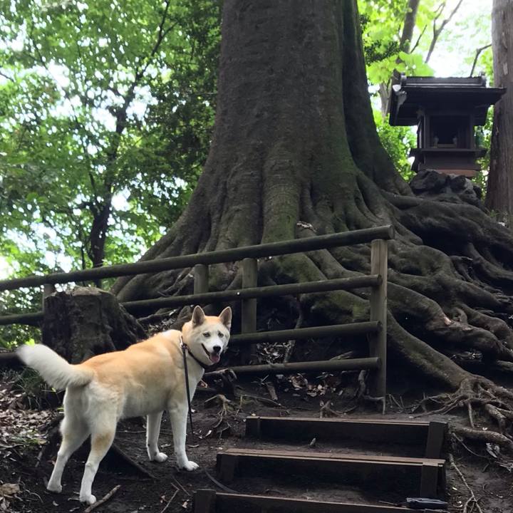 1b501da8 a5a3 4858 948b 672c5f493715 1621827420633