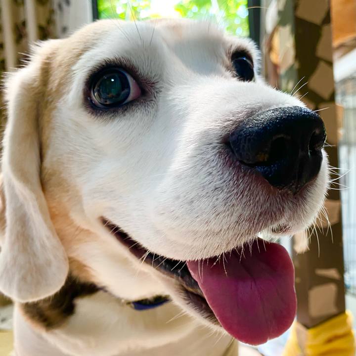 1b503911 cfe6 4644 b427 9de5cd63be1d 1621915192979