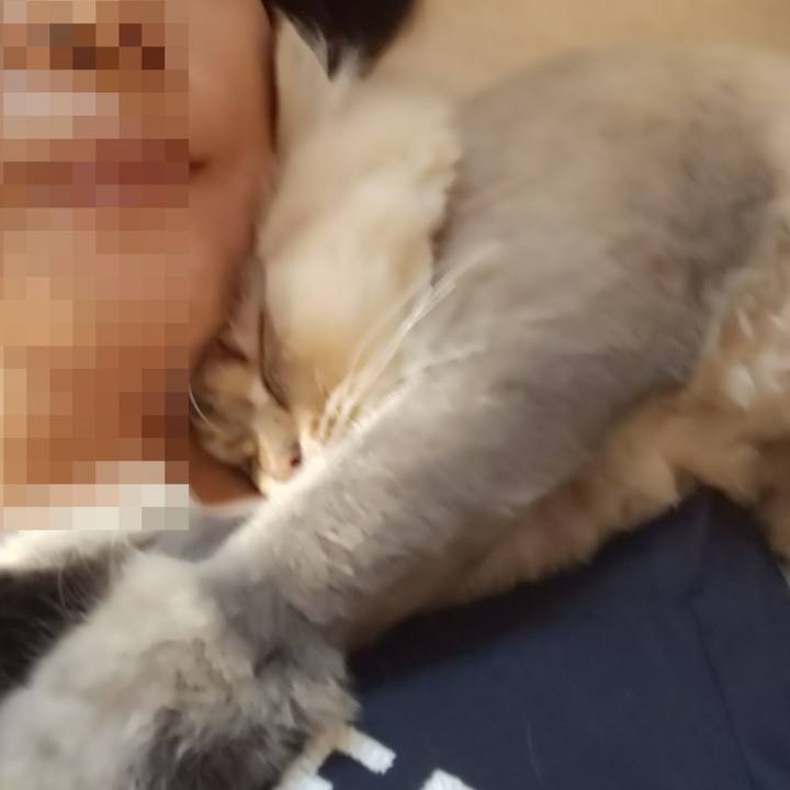 1b504551 3c53 4eb0 a58c 590edb8edda2 1598410295663