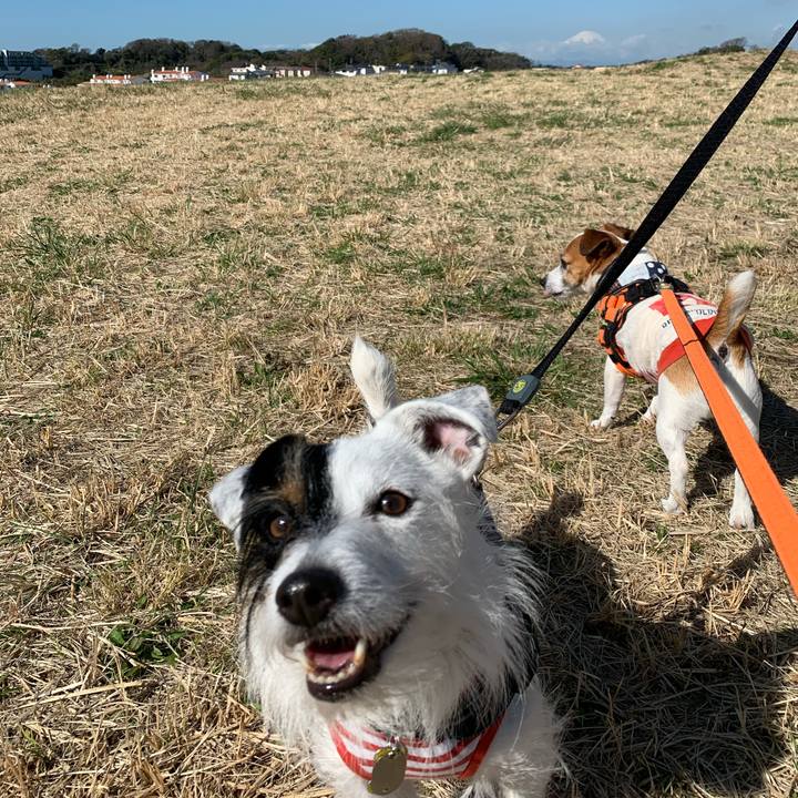 1b505b6d 9323 497a 98e2 9b760904446d 1583888470832