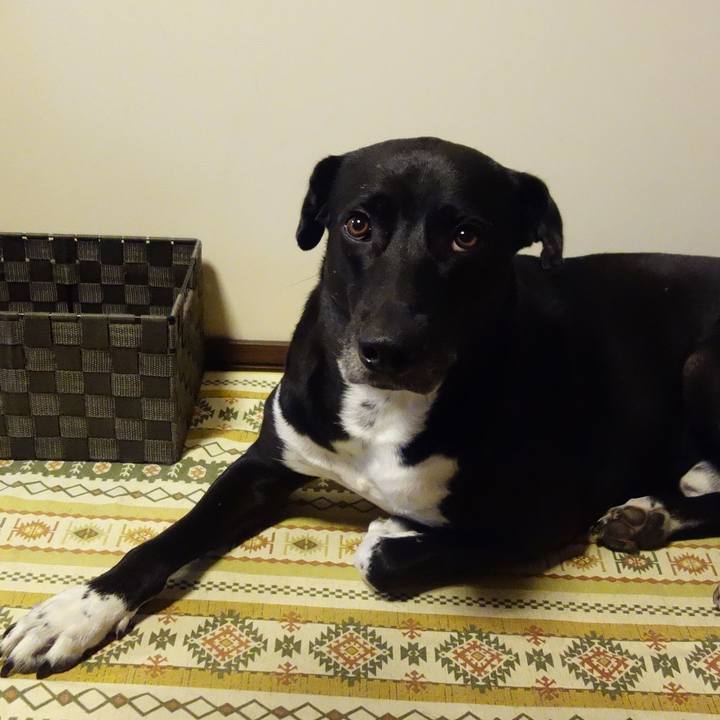 1b506734 aafd 458a affe a82443152c8b 1627729699302