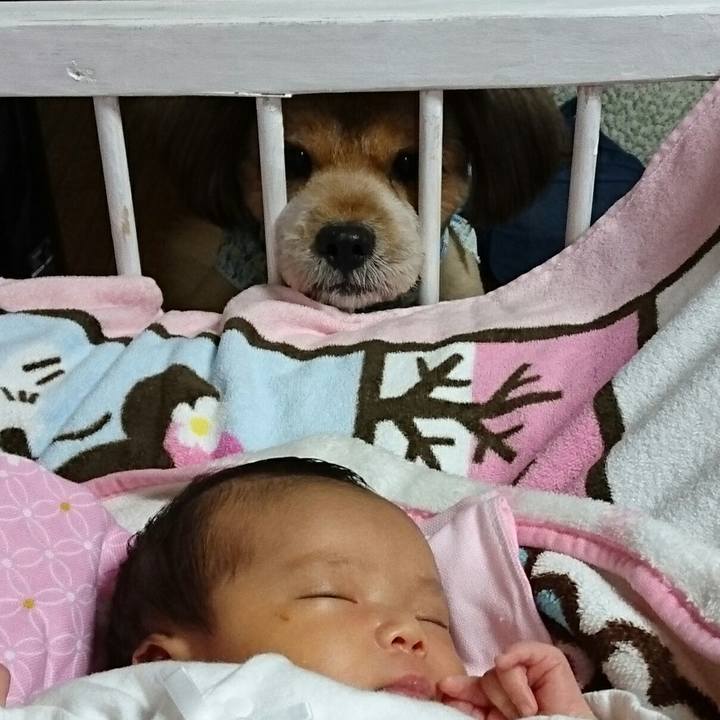 1b50718b c535 427c 8e3c f89a01c8333a 1539522341716