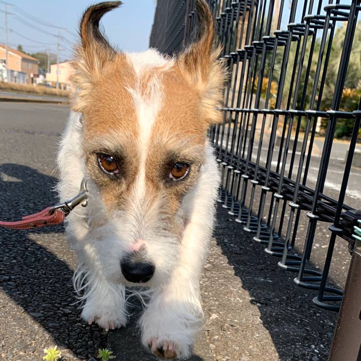 1b50c159 06fd 4beb 820f 21a0f8c28ccb 1616821636638