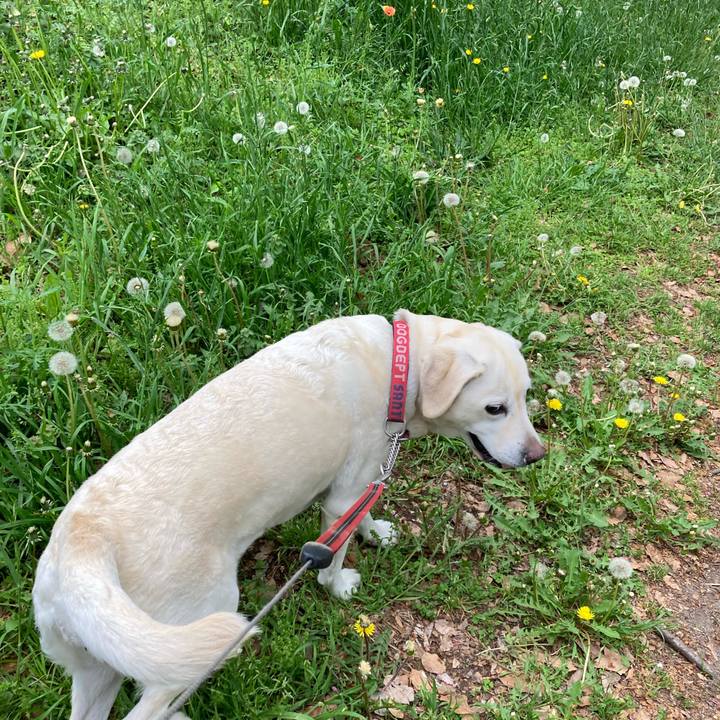 1b50c8cf 9853 4810 b498 850c0b4fe4fa 1745586018534