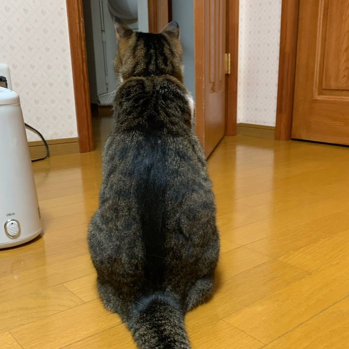 1b50d026 a1bc 47c6 b00d ec0590522b9e 1636403101796