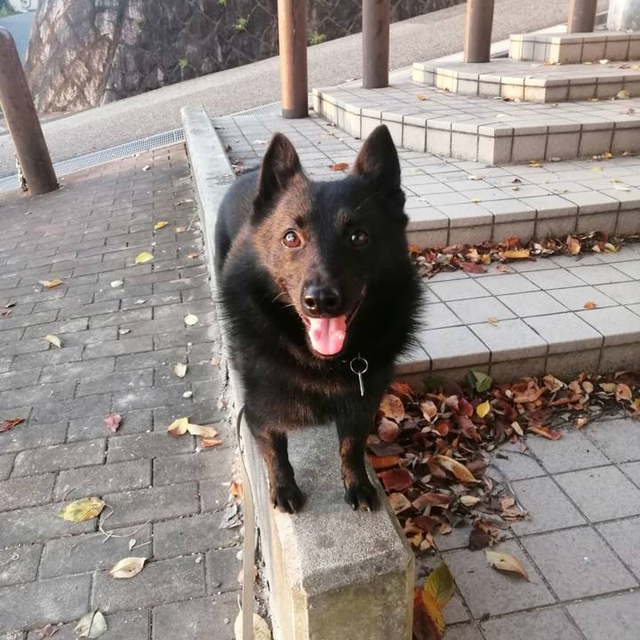 1b50e2c4 46ab 4070 b222 4ddd78ffca5a 1633382026951