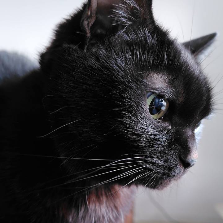 1b510070 fd25 496d bf01 e63fb3e7f654 1768429013239