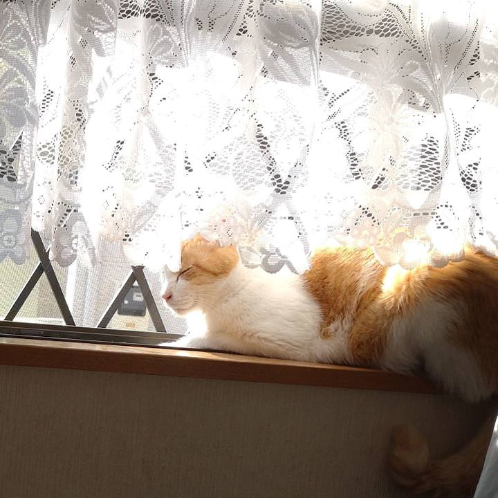 1b510735 a06f 499e bd82 8d9f00df853d 1774756672195