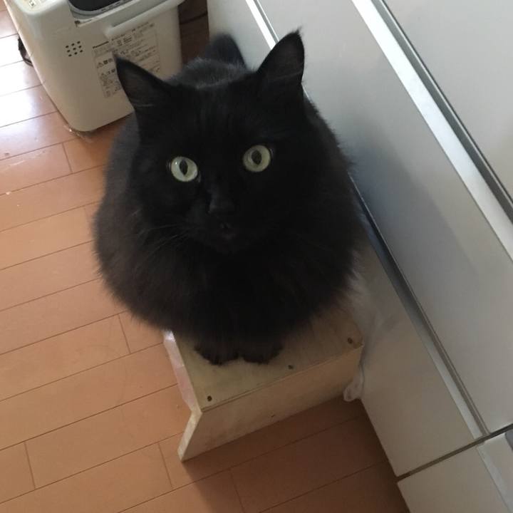 1b514641 3038 4f53 a169 9b716ab0318d 1546768960239