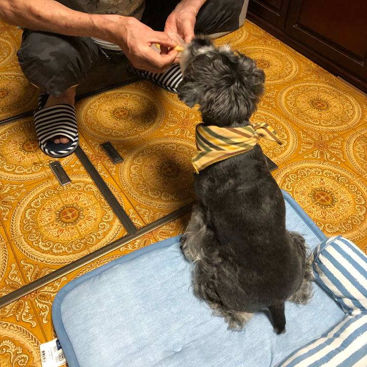 1b514d8f 7ff0 4ba1 a8ca 164c9c7f1a0e 1657202920254