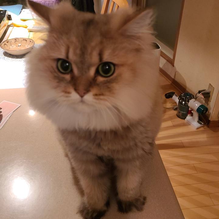 1b516d00 06d7 487e 91d0 ac5e00204d70 1603701200709