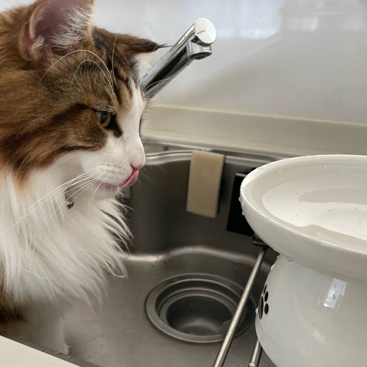 1b51b6e1 9c54 4221 9986 2850b2879f72 1654812305655