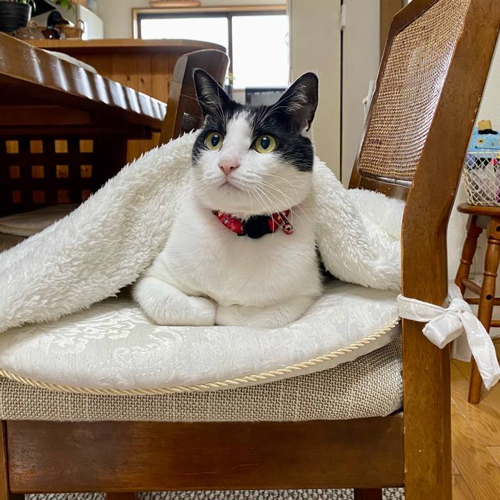 1b51ce69 d778 42c8 a826 8e8b7434de24 1696378145436