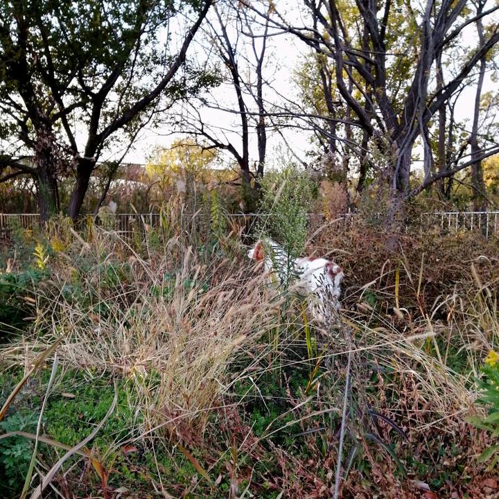 1b51cef4 3a54 41f9 ae36 27484ee9e5de 1607169994844