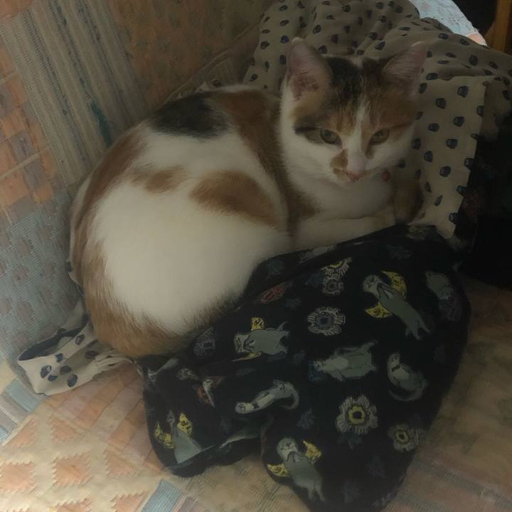 1b51cfe2 3bb1 4082 b136 4b9653bc0fe1 1575195409509