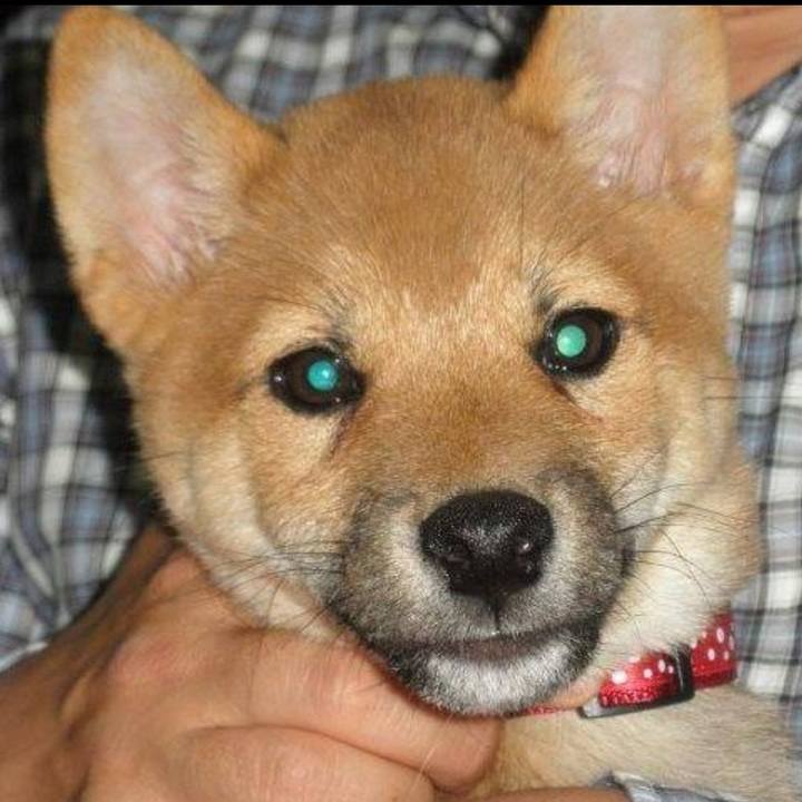 1b51d8c0 ecb4 470d af08 1477eaf36ead 1619005888293