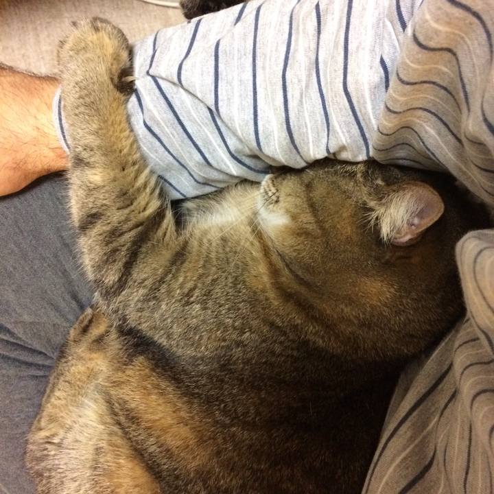 1b51e18b beb7 41e9 82bc c6fbd7230791 1585392881759