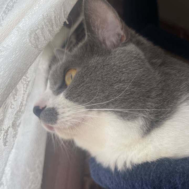 1b51e9d7 b76d 4c89 9b4e b0e091f19dfc 1664580831514