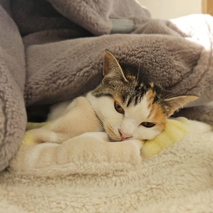 1b51f844 5a46 4790 a3ae c34023f54e03 1770249545494