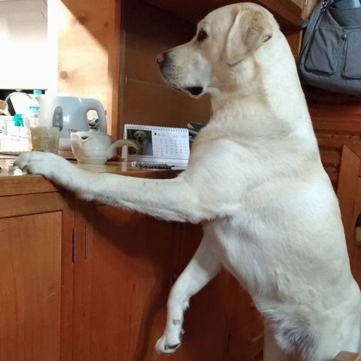 1b51fe1c 660f 42f9 8889 0b8b1acf0efb 1525705935093