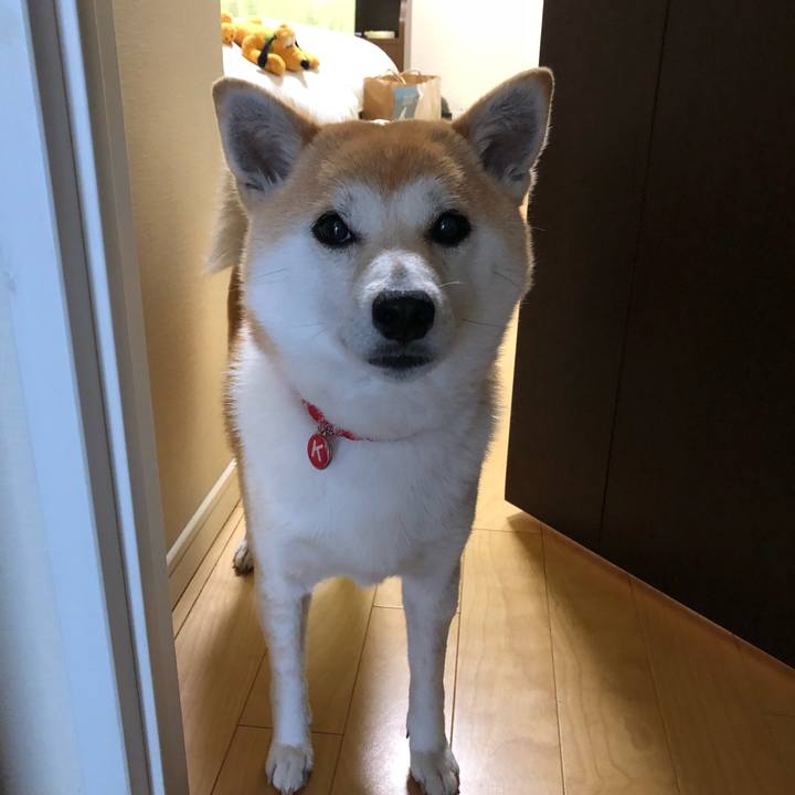 1b5237b3 6550 4c0f 93cb 466f46b00555 1523758555751