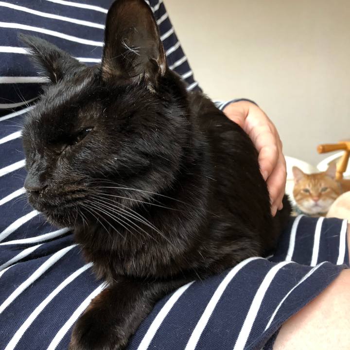 1b524485 3f1a 460b 9d66 c04e2cbfe9fb 1557524093567