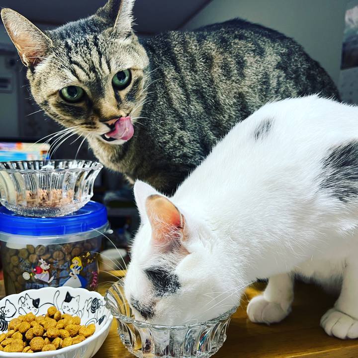 1b52458b 2b31 4927 9aec 058051d72e96 1632861811857