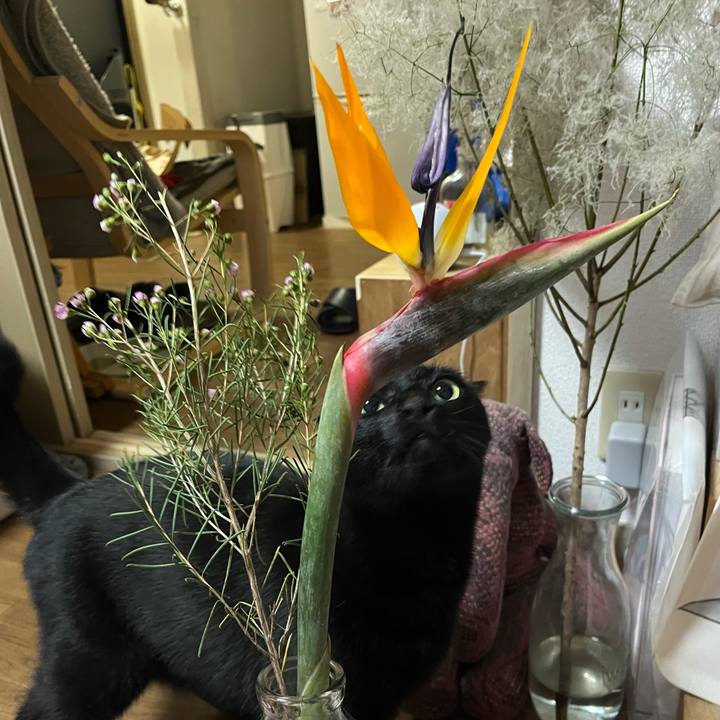 1b526bef 91bf 4a9d b795 fb665b9aa6d8 1719529707409