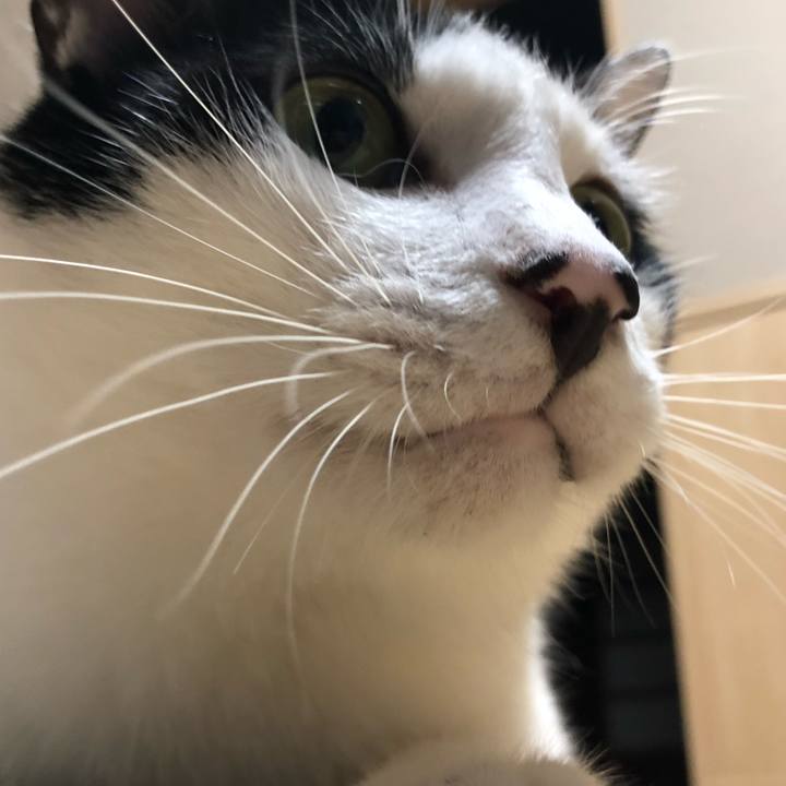 1b527056 7125 44ec a491 bdf095ed4c49 1563278845484