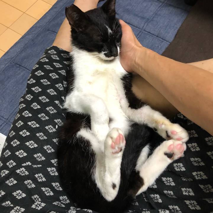 1b527633 ae50 4fd8 9058 27cf16c50652 1558776656844