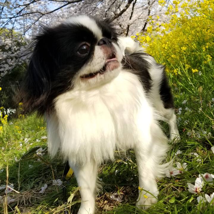 1b527848 a521 4dd2 ac63 017923a23650 1648897742322