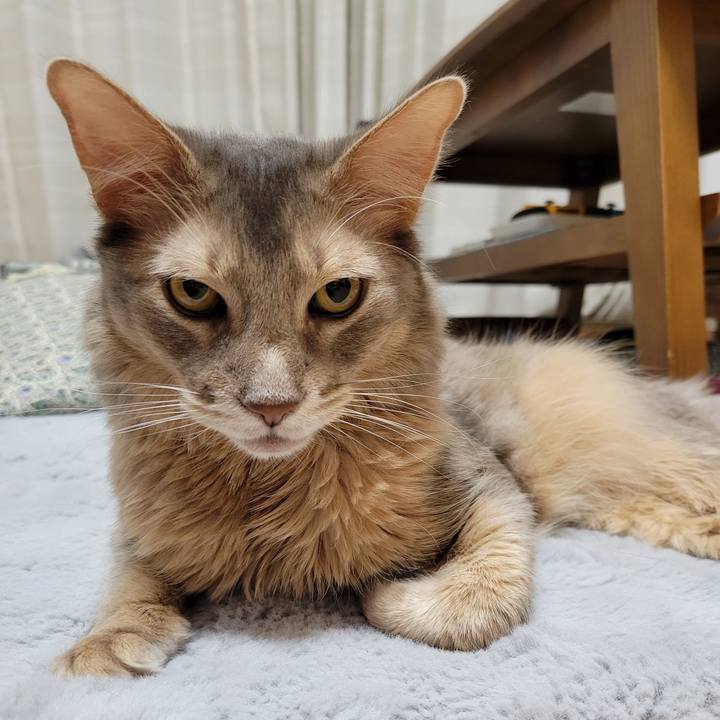 1b529309 f062 4c97 a8fc 0e01ef827a16 1646654937294