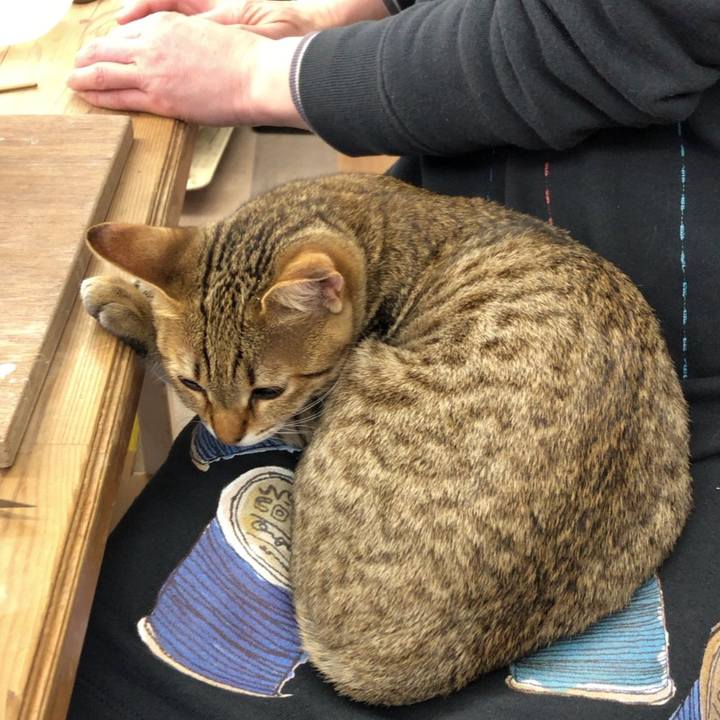 1b52fef8 bd41 42db b76c 2a66a57138d1 1584155626424