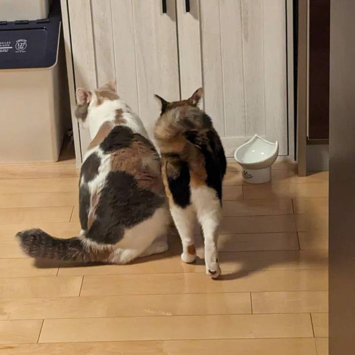 1b5302b2 9136 4589 9a81 bc2e7a64bab8 1698725133985