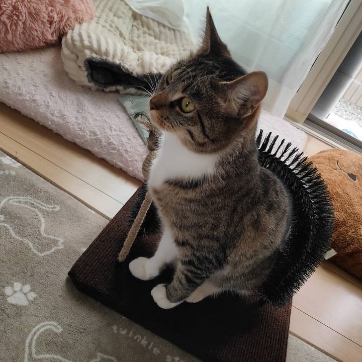 1b531acc 6b4a 4e9e 91c6 8a83668e1436 1680668375248