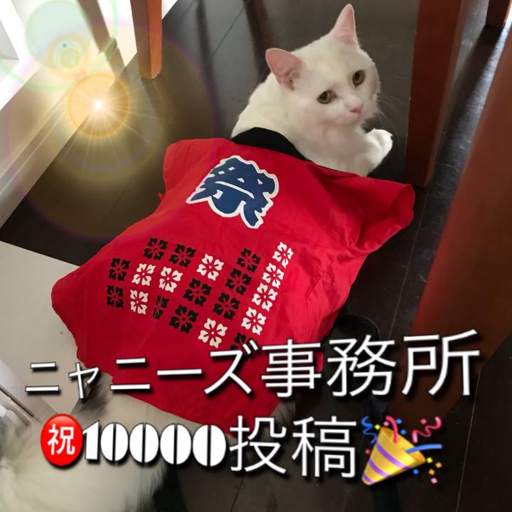 1b5332e8 435c 4005 a1b7 b3dff05e7401 1535016164354