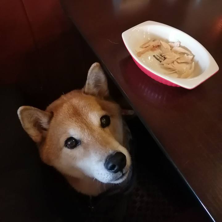 1b534ea2 d808 42f3 9b93 5f6b9bb76c0f 1693989872633