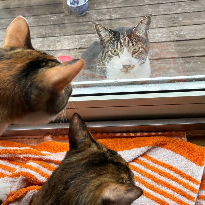 1b53f4a2 f088 477d be38 a205c0e252ab 1658872640485