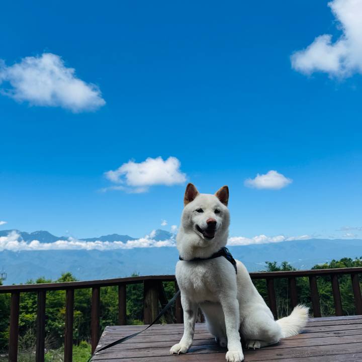 1b53f5fc 2fbd 49cd 8272 0638270e0632 1752974497137