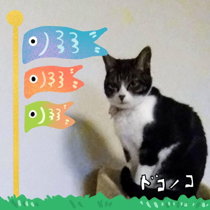 1b5408e3 89c3 4fb4 889c 40da07d5f870 1715161769435