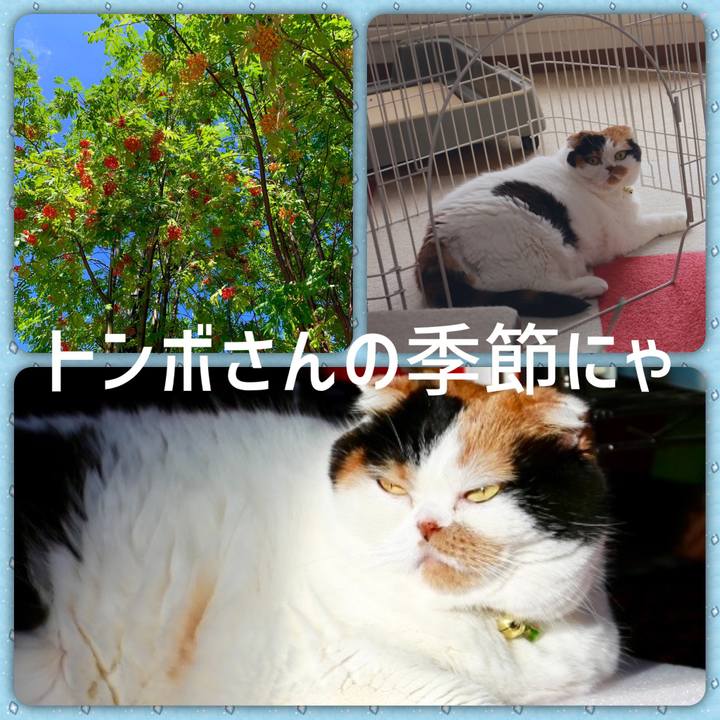 1b54101a 9f4b 4d48 9e29 e93e3ff03098 1566261729679