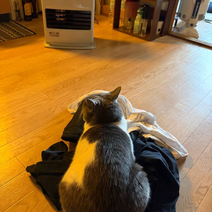 1b5477ff 7f93 441b 9ba4 210250fd49d1 1763422888649