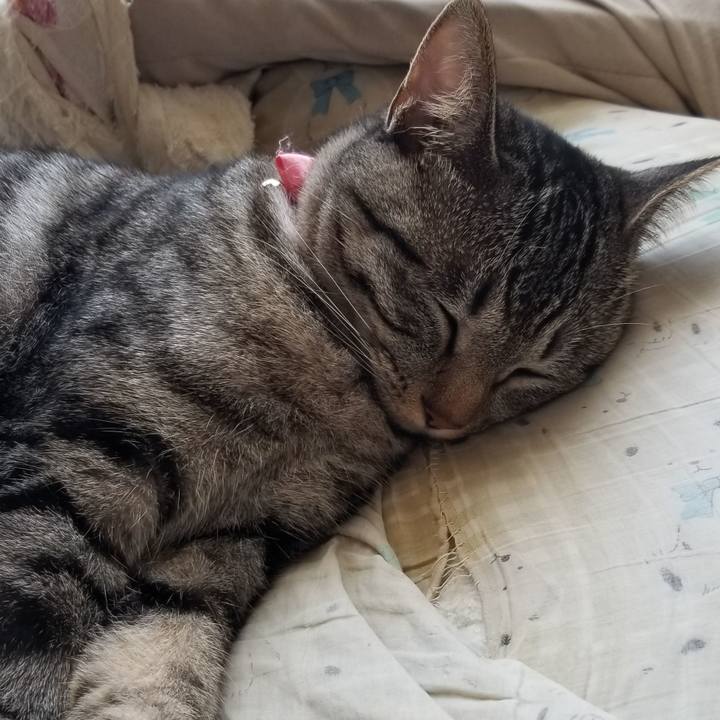 1b54ea84 bd7d 47af aa3e a918f3fe7e16 1688562982304