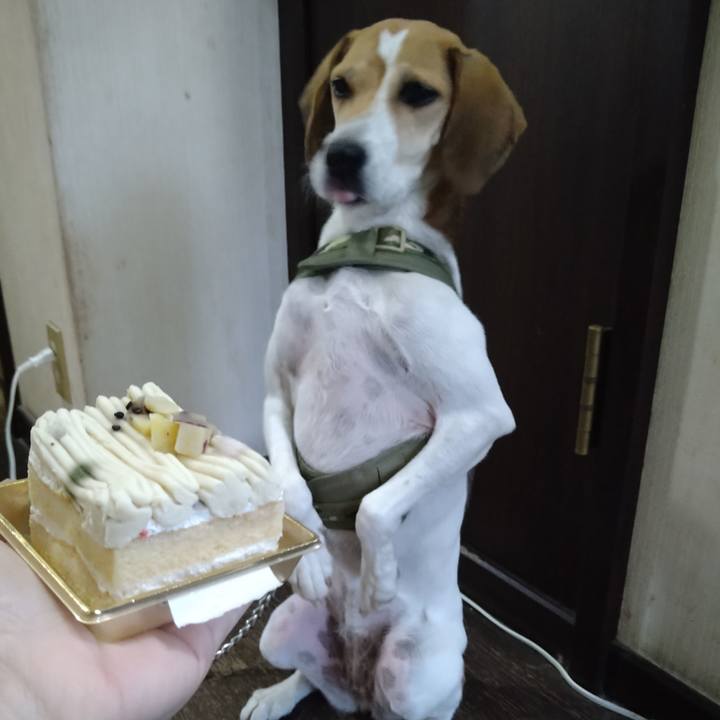 1b550d40 b5f7 45ca b473 6e9345fd0860 1667201996189