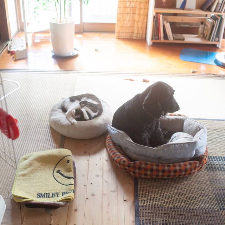 1b551500 4b23 4483 a6e7 66a0616a79bb 1570941074344