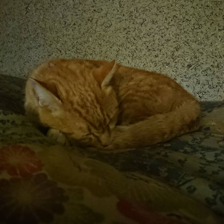 1b55152b d5af 4ca3 ab7a 45c0d4ffe892 1603108715556