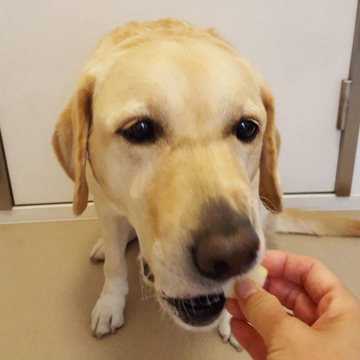 1b551548 0e84 4efd 985f 3f913b018c12 1541560091888